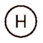 H icon